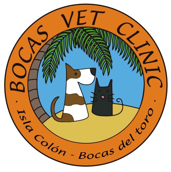 Dr. Gloria A. Fonseca H. — Médico