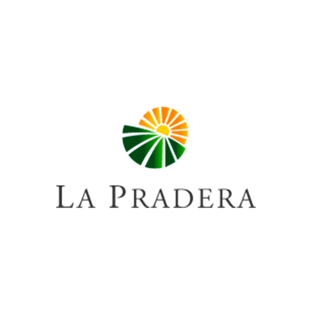 Desarrollo Inmobiliario La Pradera — Corredor De Bienes Raíces