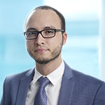 Dr. Fabio Luis Vega Braga — Médico